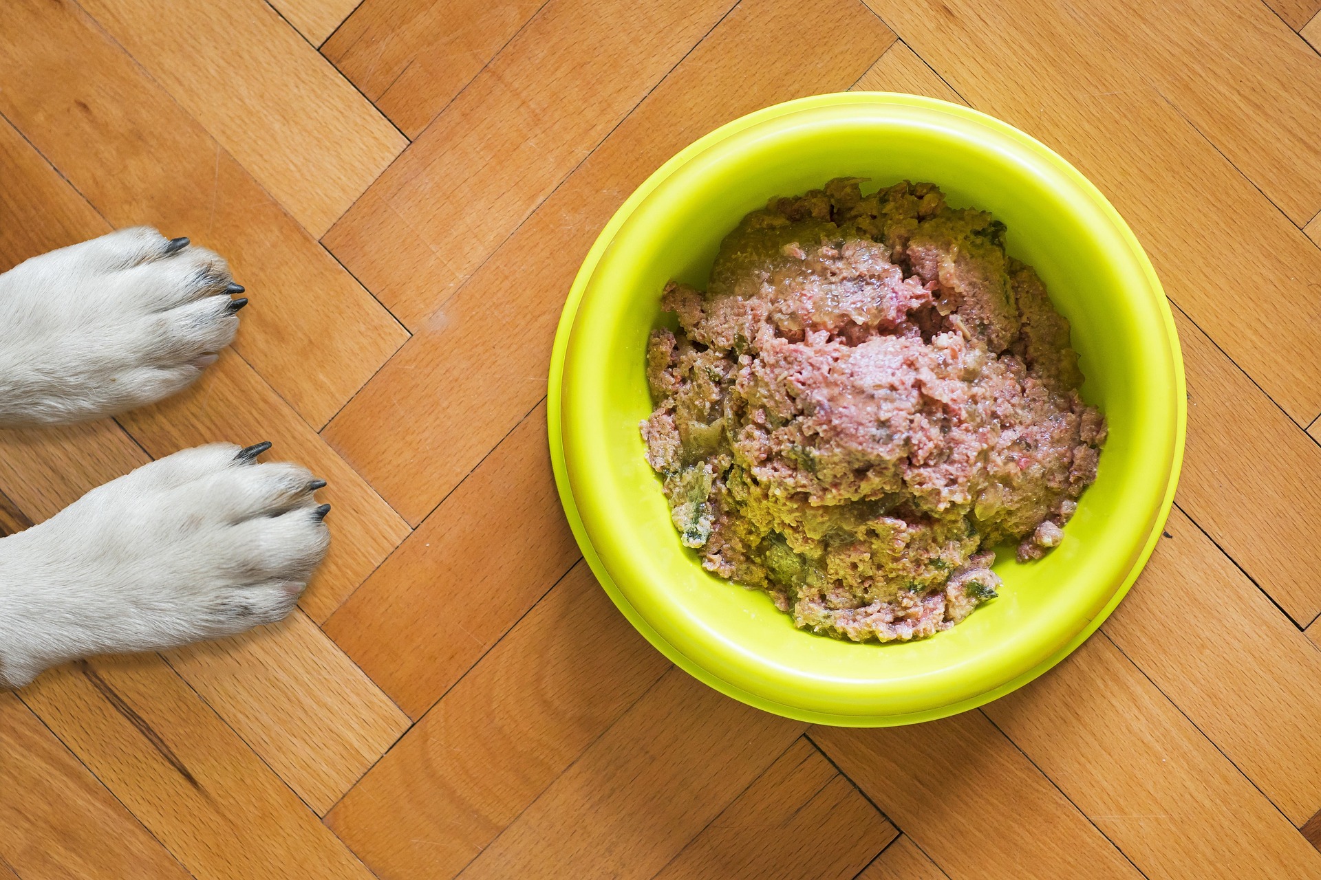 L’alimentazione